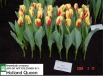 [holland queen 0204.JPG]